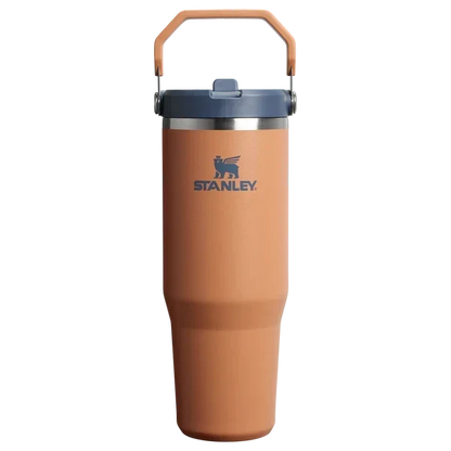 40oz Orange Stainless Steel Insulated Tumbler with Straw