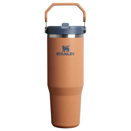 40oz Orange Stainless Steel Insulated Tumbler with Straw
